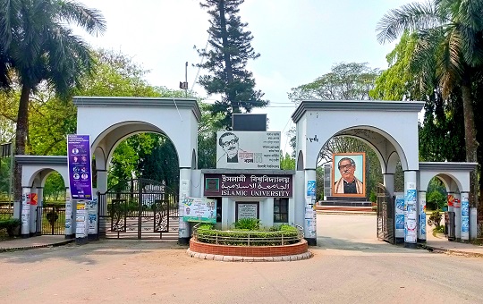 image-here